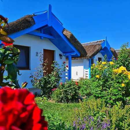 ホテル Casa Pescarilor Lunca  エクステリア 写真