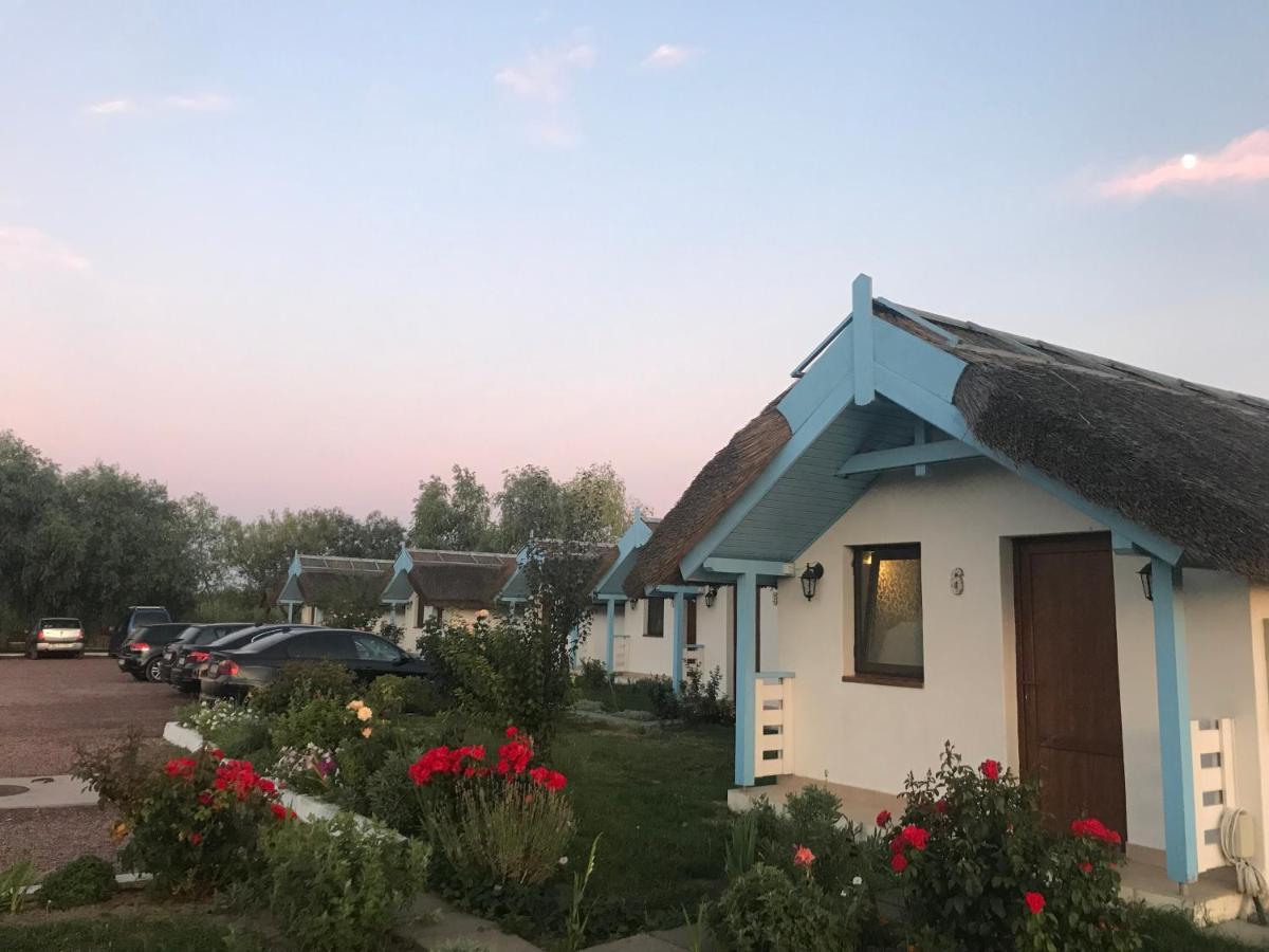 ホテル Casa Pescarilor Lunca  エクステリア 写真