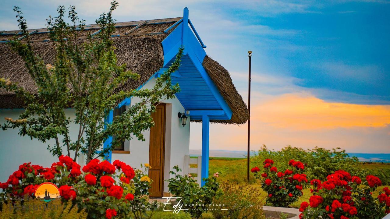 ホテル Casa Pescarilor Lunca  エクステリア 写真