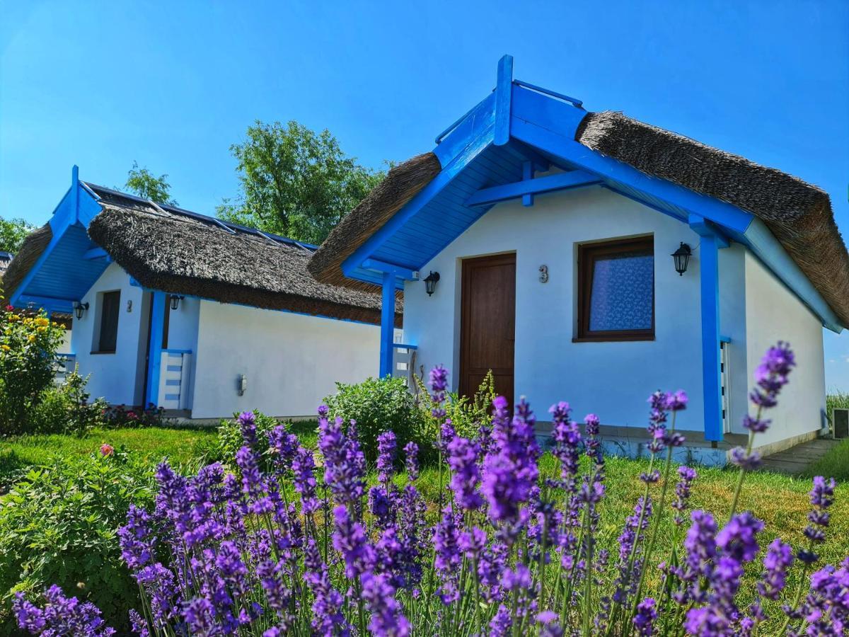 ホテル Casa Pescarilor Lunca  エクステリア 写真