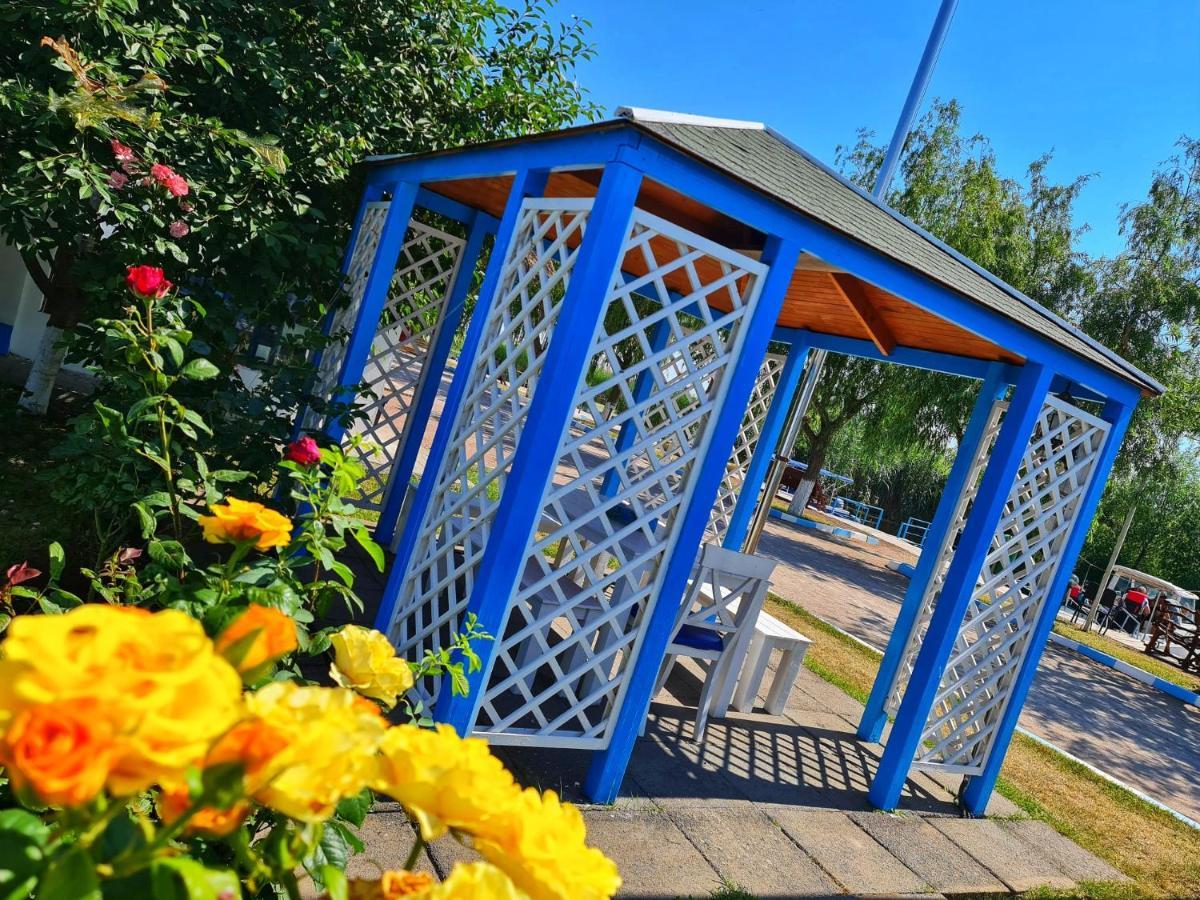 ホテル Casa Pescarilor Lunca  エクステリア 写真