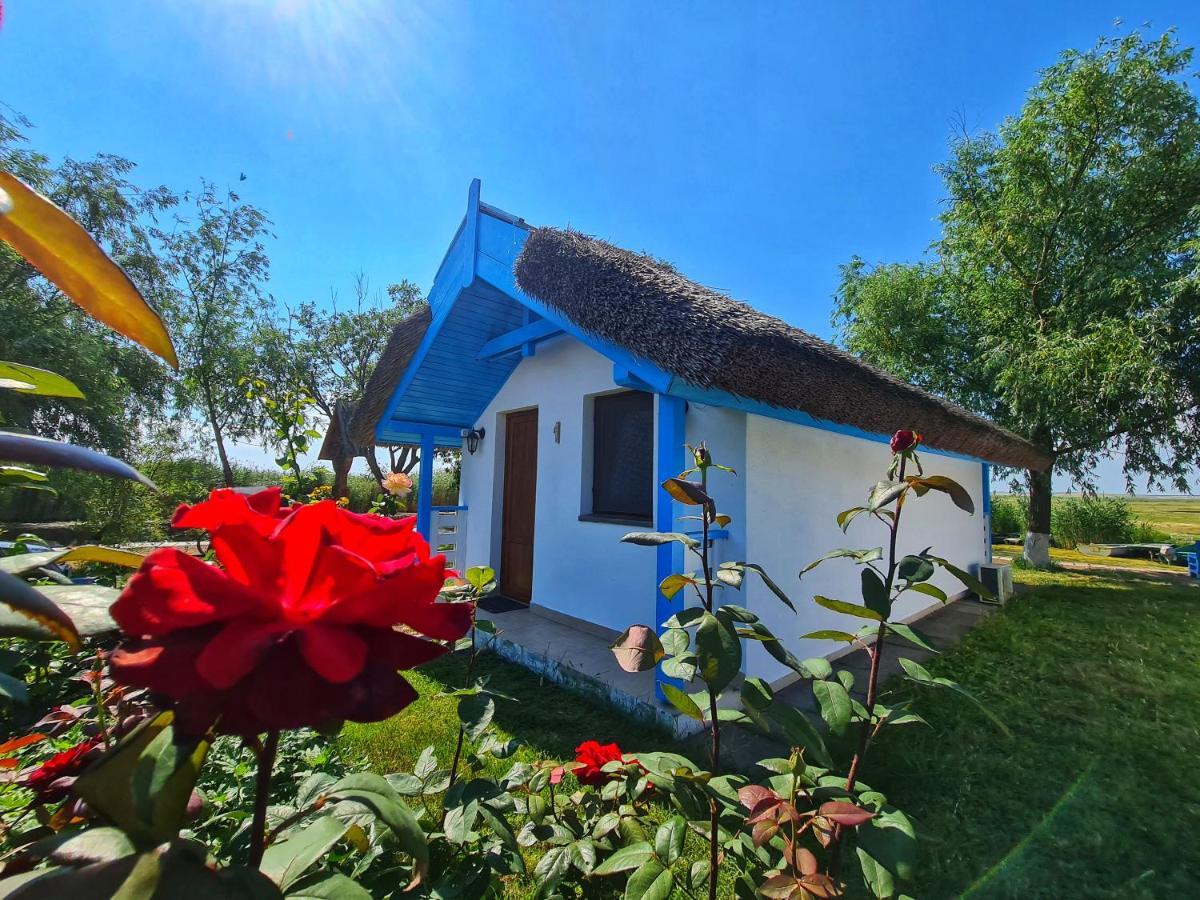 ホテル Casa Pescarilor Lunca  エクステリア 写真