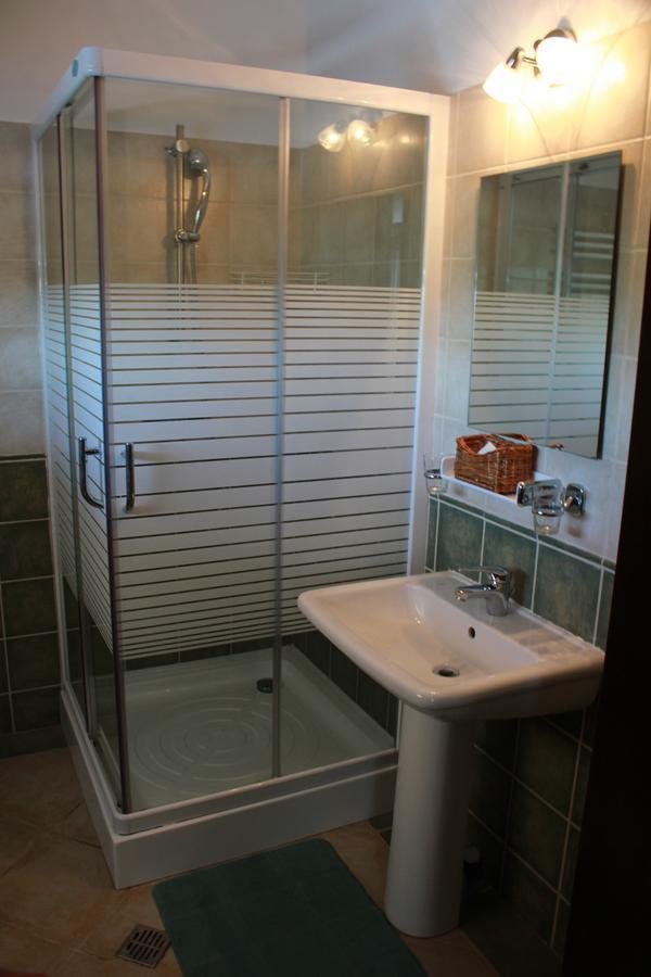 ホテル Casa Pescarilor Lunca  部屋 写真
