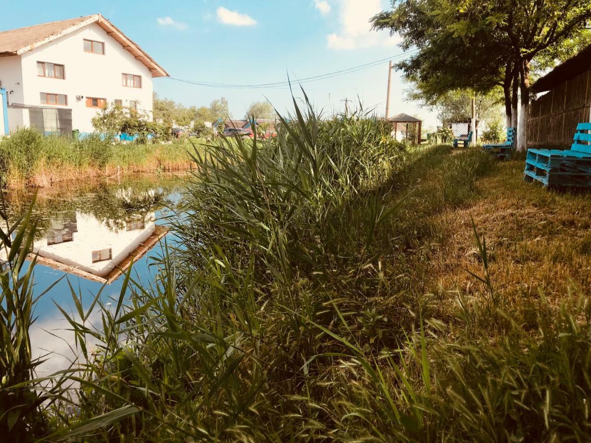 ホテル Casa Pescarilor Lunca  エクステリア 写真